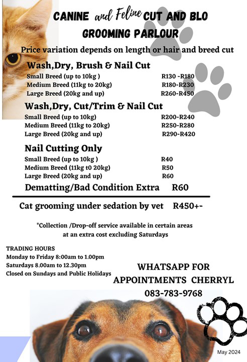 Pamphlets Canine 2024 (1) copy